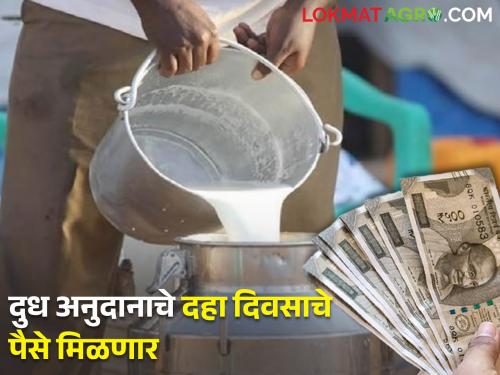 Milk Subsidy Scheme; The money will transfer the farmer's account in four days | दूध अनुदान योजना; शेतकऱ्यांच्या खात्यावर चार दिवसांत येणार पैसे
