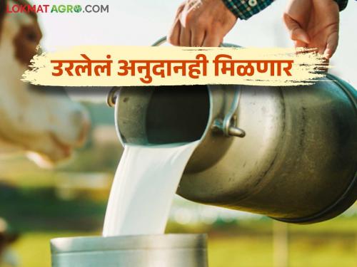 Dudh Anudan : 15 crores on account of milk producer farmers in this district; Another 11 crore approved | Dudh Anudan : या जिल्ह्यातील दूध उत्पादकांच्या खात्यावर १५ कोटी; आणखी ११ कोटी मंजूर