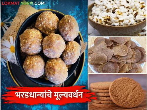 How to make processed foods from millets? | भरडधान्यांचे प्रक्रियायुक्त पदार्थ कसे बनवाल?