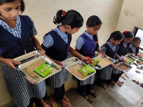 Cereal nutrition awareness campaign among students on the occasion of International Year of millet | आंतरराष्ट्रीय तृणधान्य वर्षा निमित्त विद्यार्थ्यांमध्ये तृणधान्य पोषण जागरूकता मोहीम