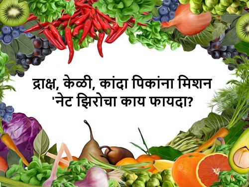 Kikulogy: What is the mission 'Net Zero 2050'? How will it benefit agriculture? | किकुलॉजी: मिशन 'नेट झिरो २०५०' काय आहे? त्याचा शेतीला काय फायदा होणार?