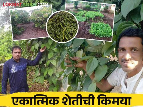 Farmer Success Story : After completing his education up to 12th, farmer pravin gained proficiency in agriculture without going after a job | Farmer Success Story : बारावीपर्यंतचे शिक्षण घेतल्यानंतर नोकरीच्या मागे न लागता प्रवीणने मिळवलं शेतीत प्राविण्य