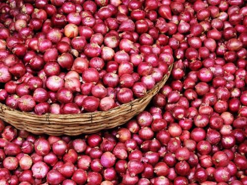 Average price of onion of Vinchur, Lasalgaon is 2 thousand | विंचूर, लासलगावच्या कांद्याला सरासरी भाव २ हजारांचा