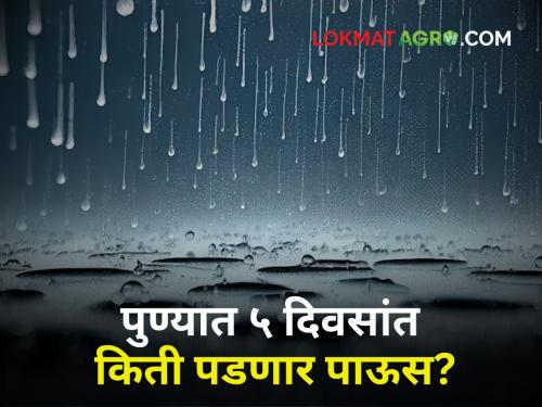 Pune Rain Updates Pune districts will have rain in next 5 days What are weather warnings? | Pune Rain Updates : पुढील ५ दिवसांत पुणे जिल्ह्यांत 'असा' असेल पाऊस; काय आहेत हवामानाचे इशारे?