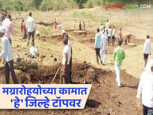 MGNREGA Scheme: These districts are leading in the work of MGNREGA in the state; | MGNREGA Scheme : राज्यात मग्रारोहयोच्या कामात 'हे' जिल्हे अग्रेसर; ६६९ ग्रापंमध्ये ४९९६ कामे सुरू