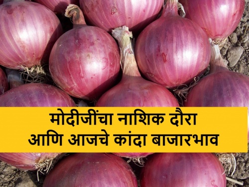 PM Modi's Visit to Nashik on Vivekanand Jayanti National Youth Day and today's onion market price in Lasalgaon, Pimpalgaon, Pune, Maharashtra | PM Modi's Visit: नरेंद्र मोदी नाशिकच्या दौऱ्यावर असताना लासलगावला कांदा बाजारभाव असे होते
