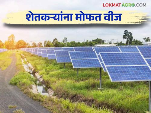 Free Electricity For Farmer : Farmers will get free electricity for the next 25 years  | Free Electricity For Farmer : काय सांगताय! शेतकऱ्यांना पुढील २५ वर्षे मिळणार मोफत वीज; कसे करणार नियोजन वाचा सविस्तर