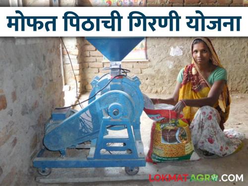 Mofat Pithachi Girani Yojana: latest news Women will get free flour mill; beneficiaries will become self-reliant | Mofat Pithachi Girani yojana: महिलांना मिळणार मोफत पिठाची गिरणी; लाभार्थी होणार आत्मनिर्भर