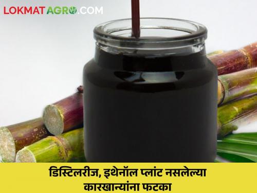 50 percent export duty on molasses | मोलॅसिसवर ५० टक्के निर्यात शुल्क लागणार