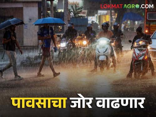 Maharashtra Weather Update: Monsoon will intensify again, covering the state within five days | Maharashtra Weather Update मान्सून पुन्हा जोर धरणार, पाच दिवसांतच राज्य व्यापणार