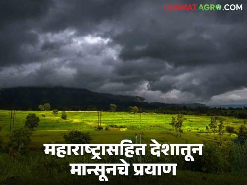 Latest News Maharashtra Rain Update Big update regarding rains, monsoon rains returned from Maharashtra know in detail  | Maharashtra Rain Update : पावसाबाबत मोठं अपडेट, महाराष्ट्रातुन पाऊस परतला, मात्र.... जाणून घ्या सविस्तर 