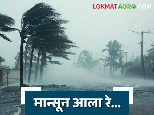 Monsoon has arrived in Nicobar Islands; When will it arrive in Maharashtra? Know in detail | मान्सून निकोबार बेटांवर आला; महाराष्ट्रात केव्हापर्यंत येणार? जाणून घ्या सविस्तर
