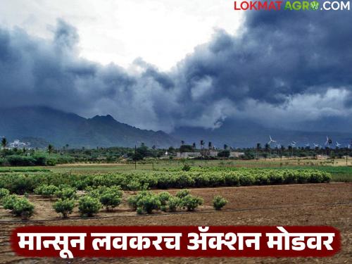 Monsoon will be active again; Heavy rains will again occur in these places in the state from June 13 | मान्सून पुन्हा सक्रिय होणार; १३ जूनपासून राज्यात या ठिकाणी पुन्हा धो-धो बरसणार