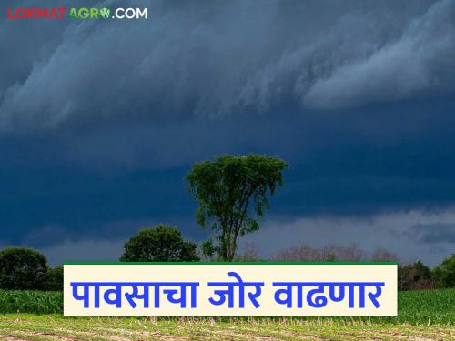 Rains are active again; Rains with thunderstorms are expected in these places in the state for the next 2 days | पाऊस पुन्हा सक्रिय; राज्यात पुढील २ दिवसात या ठिकाणी वादळी वाऱ्यासह पावसाचा अंदाज
