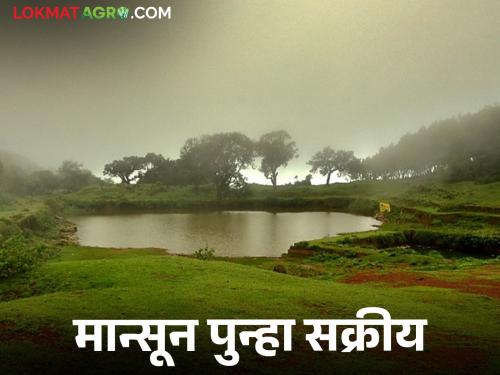 Monsoon winds are active in the state; Rain intensity will increase in these districts for the next six days | राज्यात मान्सूनचे वारे सक्रिय; 'या' जिल्ह्यांत पुढील सहा दिवस पावसाचा जोर वाढणार