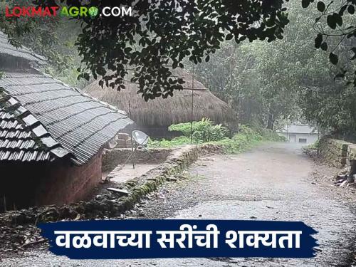 Latest News Maharashtra Monsoon Update Chance of rain in 9 districts next week, read weather forecast | Maharashtra Monsoon Update : पुढील आठवड्यात 'या' जिल्ह्यात वळीव पावसाची शक्यता, वाचा हवामान अंदाज 