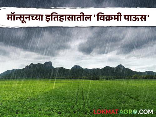 Monsoon 2024 : Record rainfall for September in the history of Monsoon at this place in the state on Wednesday | Monsoon 2024 : बुधवारी राज्यात 'या' ठिकाणी झालेला मॉन्सूनच्या इतिहासातील सप्टेंबरचा विक्रमी पाऊस