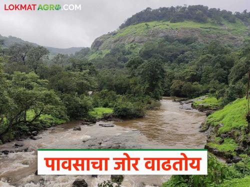 The rain will continue like this for the next five days; what alert is there? | पुढील पाच दिवस पावसाची अशीच बॅटिंग सुरू राहणार; कुठे कोणता अलर्ट?