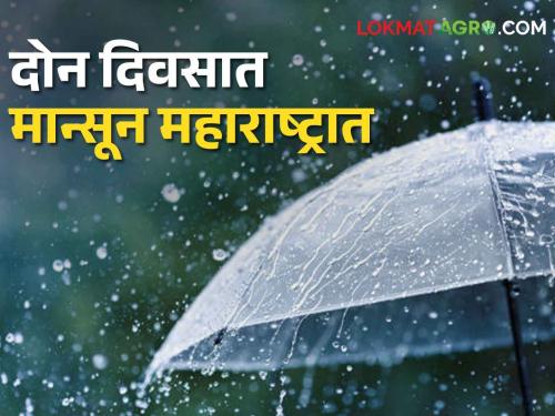 Maharashtra Monsoon Update; How will the monsoon rain in Maharashtra, how much rain will fall in your area | Maharashtra Monsoon Update महाराष्ट्रात मान्सून कसा बरसणार, तुमच्या भागात किती पडेल पाऊस?