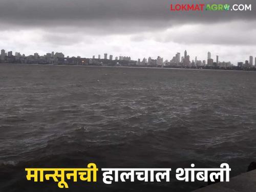 Maharashtra Rain Update : rain with lightning expected in these districts of the state; Yellow alert issued | Maharashtra Rain Update : राज्यात या जिल्ह्यांत विजांसह वादळी पावसाचा अंदाज; यलो अलर्ट जारी
