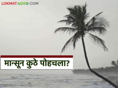 Monsoon is expected to arrive in Kerala in two days; When will it arrive in Maharashtra? | मान्सून दोन दिवसांत केरळमध्ये दाखल होण्याचा अंदाज; महाराष्ट्रात कधी होणार आगमन?