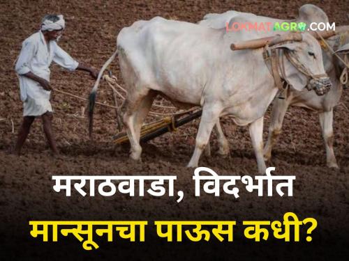 Monsoon Rain in maharashtra vidarbha sowing and cultivation kharip crop Monsoon likely weaken | Monsoon Rain : "शेतकऱ्यांनो पेरण्यांची घाई करू नका; मान्सूनचा जोर कमी होण्याची शक्यता"