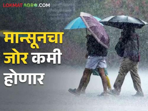 Latest news Maharashtra rain update Monsoon strength will decrease for four days in Maharashtra Know in detail  | Maharashtra Rain Update : पुढील चार दिवस महाराष्ट्रात पाऊस कसा असेल? जाणून घ्या सविस्तर 