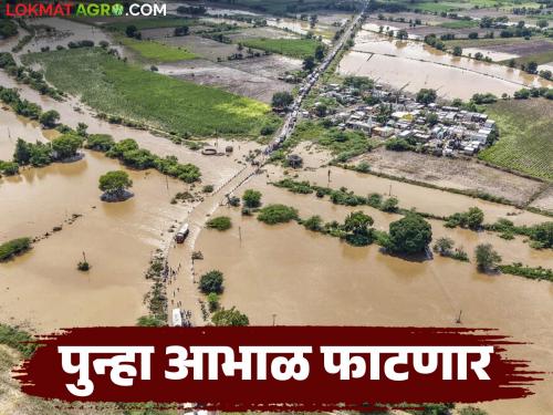 Maharashtra Rain : Low pressure area from Konkan to Saurashtra; Heavy rains again in the state from tomorrow | Maharashtra Rain : कमी दाबाचे क्षेत्र कोकणातून सौराष्ट्रकडे; उद्यापासून राज्यात 'या' भागात पुन्हा मुसळधार पाऊस