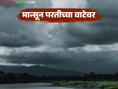 The rains will stop, the monsoon's return journey will begin; How do you know when the monsoon will leave? | पाऊस थांबणार, मान्सूनचा परतीचा प्रवास सुरु; मान्सून जाणार हे कसे समजते?