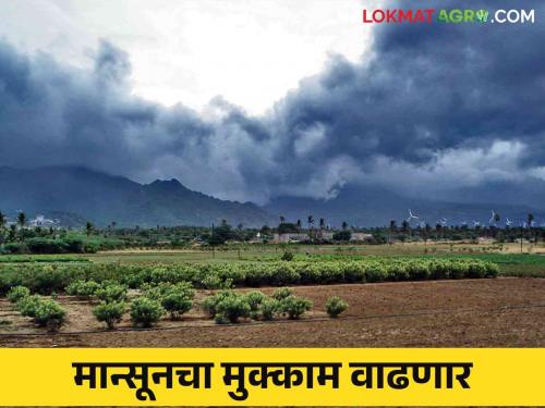 Maharashtra Weather Update : Monsoon stay will increase How much rain will fall in September-October | Maharashtra Weather Update : मान्सूनचा मुक्काम वाढणार सप्टेंबर-ऑक्टोबरमध्ये पडणार किती पाऊस