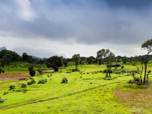 Marathwada monsoon forecast for first week of july | या आठवड्यात मराठवाड्यात असा असेल पाऊस