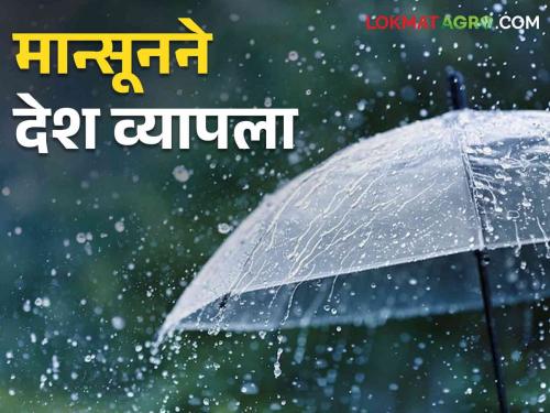 Monsoon Update: This year Monsoon covered the whole country six days before | Monsoon Update यंदा मान्सूनने सहा दिवस आधीच सर्व देशाला व्यापला