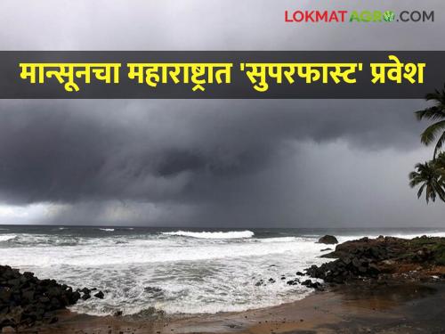 latest news Monsoon 2025: Monsoon on time in Maharashtra, but sowing off time? Know the advice of experts | Monsoon 2025 : मान्सून ऑनटाइम, पण पेरणी ऑफटाइम? जाणून घ्या तज्ज्ञांचा सल्ला