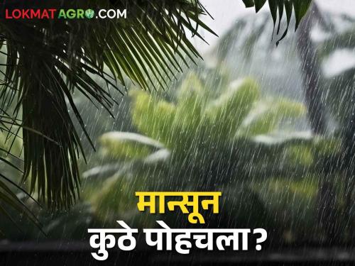 Monsson Update Monsoon has arrived in Goa, pre-monsoon rain forecast for this place in the state | Monsson Update मॉन्सून आला गोव्यात, राज्यात या ठिकाणी मॉन्सूनपूर्व पावसाचा अंदाज