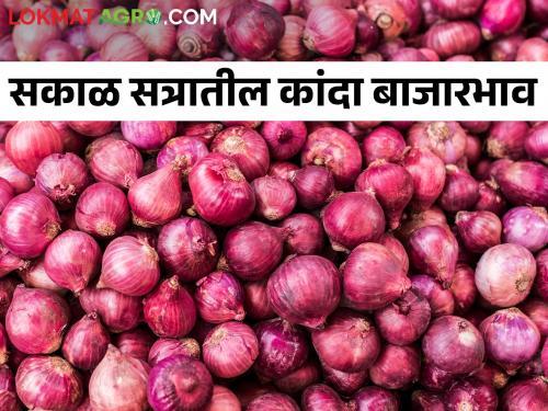 Latest News Todays Morning onion market price in Maharashtra see details | कांदा निर्यात खुली झाल्याची चर्चा, आज लासलगावमध्ये बाजार समितीमध्ये कांदा बाजारभाव काय?