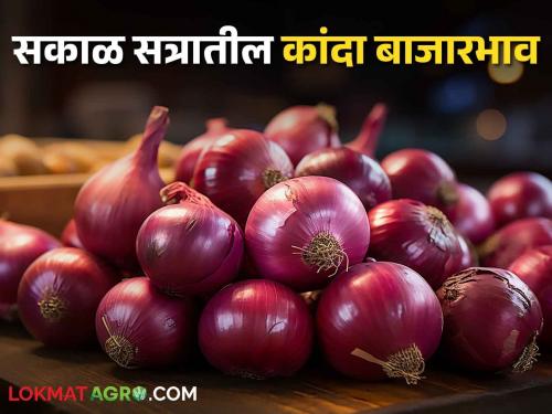 Latest News Todays Morning session onion market price in market yards check here | Onion Bajarbhav : सकाळ सत्रात कांद्याला काय बाजारभाव मिळाला? वाचा सविस्तर 