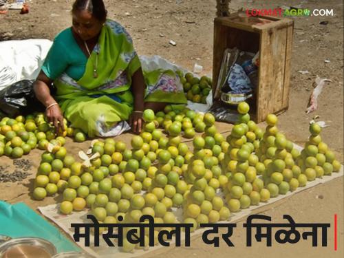 Mosambi Fruit Market: Mosambi fruit prices; How to grow a garden? Farmers worried! | Mosambi Fruit Market : मोसंबीला मातीमोल भाव; बागा जोपासणार कश्या? शेतकरी चिंताग्रस्त!