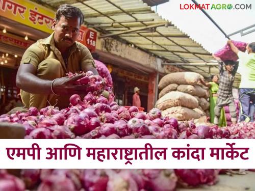 Latest news Kanda Bajar bhav onion prices in Maharashtra compared to Madhya Pradesh Read in detail | Kanda Bajar Bhav : मध्यप्रदेशपेक्षा महाराष्ट्रात कांद्याला काय दर मिळतोय? वाचा सविस्तर 
