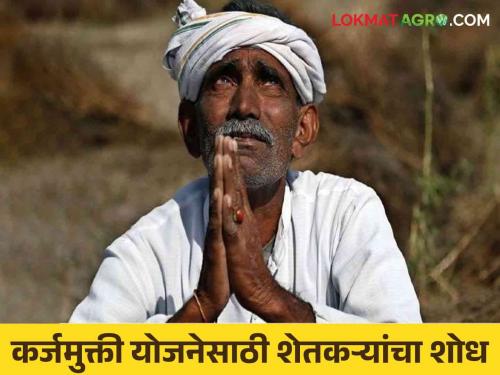 Does any farmer give to Mahatma Jyotirao Phule Farmers Debt Relief Scheme? | महात्मा जोतिराव फुले शेतकरी कर्जमुक्ती योजनेला कुणी शेतकरी देता का?