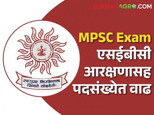 MPSC Exam Rajyaseva Joint Preliminary Exam will be held on July 6 | MPSC Exam राज्यसेवा संयुक्त पूर्वपरीक्षा होणार येत्या सहा जुलैला