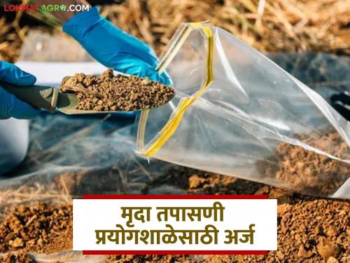 Latest news Agriculture News 1.5 lakh grant for setting up soil laboratory for 10th pass students | दहावी उत्तीर्ण आहात, गावातच काम मिळणार, दीड लाख अनुदान मिळतंय, इथं अर्ज करा