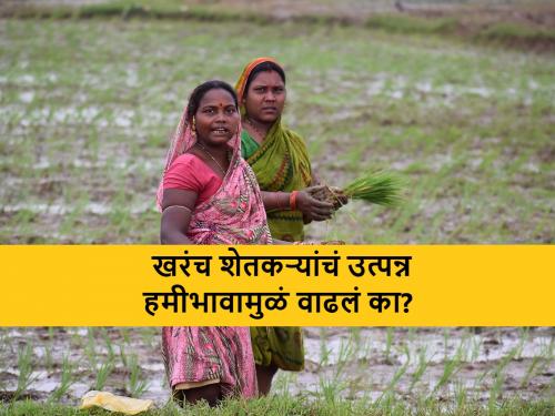 budget-2024 : Are the farmers really getting msp for their agriculture produce | अर्थमंत्र्यांनी बजेटमध्ये सांगितला तसा हमीभाव शेतकऱ्यांना खरंच मिळतोय का?