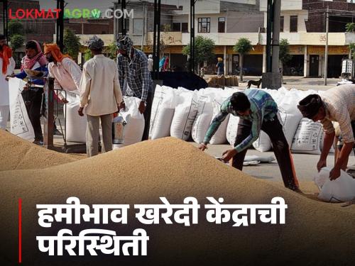 Hami Bhav Kendra : Jamkhed's MSP price agri produce buying center rejected by the Marketing Federation | Hami Bhav Kendra : जामखेडचे शेतमाल हमीभाव खरेदी केंद्र मार्केटिंग फेडरेशनने नाकारले