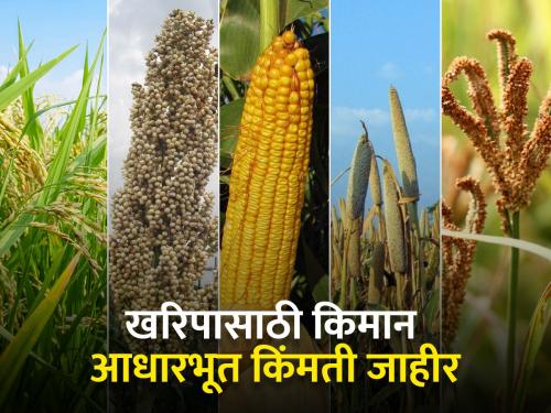 Kharif paddy, cereal millets purchase under minimum support price procurement scheme | किमान आधारभूत किंमत खरेदी योजना अंतर्गत खरीपातील धान, भरडधान्य खरेदी सुरु