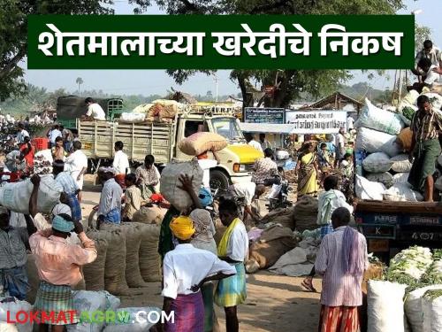 Latest News know what are procurement criteria for 24 agricultural products in maharashtra | शेतकऱ्यांसाठी महत्वाचे, राज्यात 24 शेतमालाच्या खरेदीचे निकष काय आहेत, जाणून घ्या 