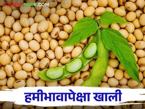 Soybean Market : Will the price improve when soybean season starts in next two months? | Soybean Market : पुढील दोन महिन्यांनी सोयाबीनचा हंगाम सुरू होणार दरात होईल का सुधार