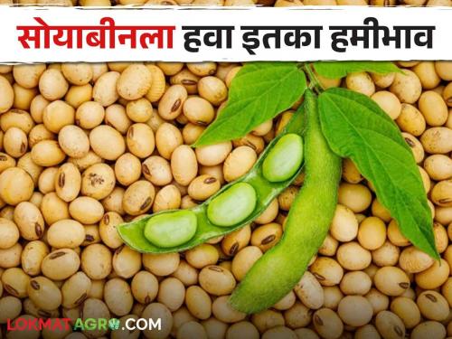 Change laws to for giving Minimum Support Price; The state government's demand to the Agricultural price Commission | Minimum Support Price हमीभाव देण्यासाठी कायदे बदला; राज्य सरकारची कृषिमूल्य आयोगाकडे मागणी