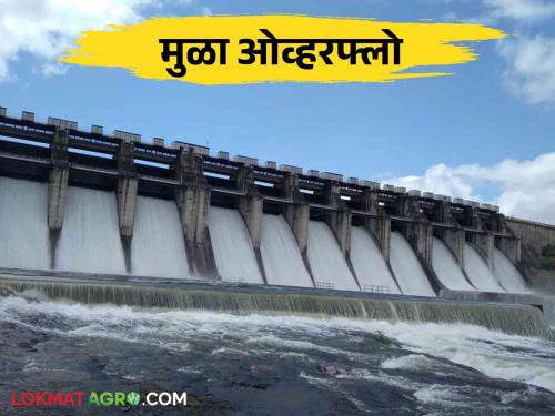 Mula Dam : Mula dam overflow Four thousand cusecs of water discharge towards Jayakwadi from 11 gates | Mula Dam : मुळा धरण भरले.. ११ दरवाज्यातून जायकवाडीकडे चार हजार क्युसेकने पाणी झेपावले