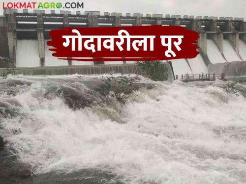 Jayakwadi Dam Water Level: How much water has come into Jayakwadi from Mula, Seena Dam | Jayakwadi Dam Water Level : मुळा, सीना धरणातून मोठा विसर्ग जायकवाडीत आलं किती पाणी