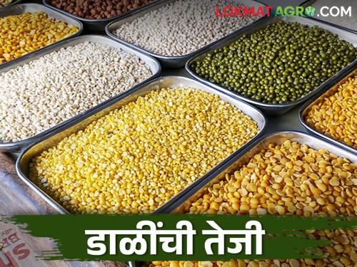 This year the production of pulses was less; How will the market price of pulses be? | यंदा कडधान्यांचे उत्पादन कमी; कसे राहतील डाळींचे बाजारभाव